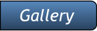 Gallery Gallery