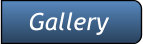Gallery Gallery