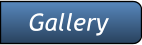 Gallery Gallery