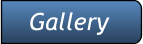 Gallery Gallery