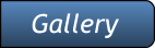 Gallery Gallery