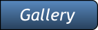 Gallery Gallery