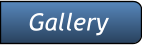 Gallery Gallery